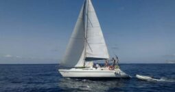 Velero Puma 37