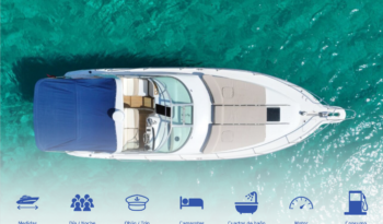 Sea Ray 33 Mangata lleno