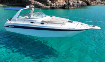 Sea Ray 33 Mangata lleno