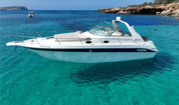 Sea Ray 33 Mangata lleno