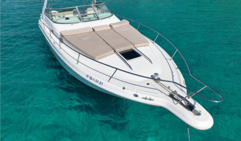 Sea Ray 33 Mangata lleno